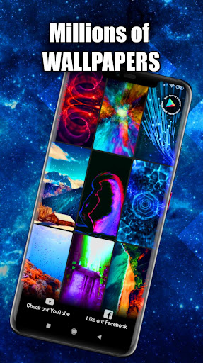 Kitten Wallpaper Live HD/3D/4K Screen 3