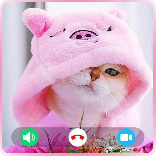Cat Fake Video Call Cat Game logo