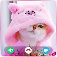 Cat Fake Video Call : Fake Call Video Cat Game