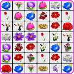Cover Image of Download Onet Flowers  APK