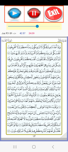 Mufti Menk Full Quran Offline Screen 2