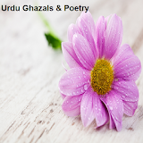 Urdu Ghazals & Poetry icon