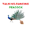 Talking Peacock Dance-Fun