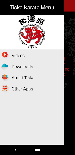 Tiska Beginner to Black Belt Screen 3