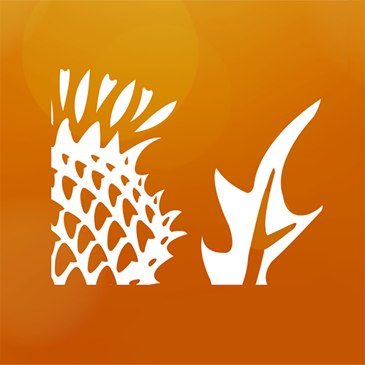 Britannica Escola logo