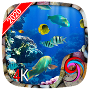Aquarium Fish HD Wallpaper 4K  ? ?