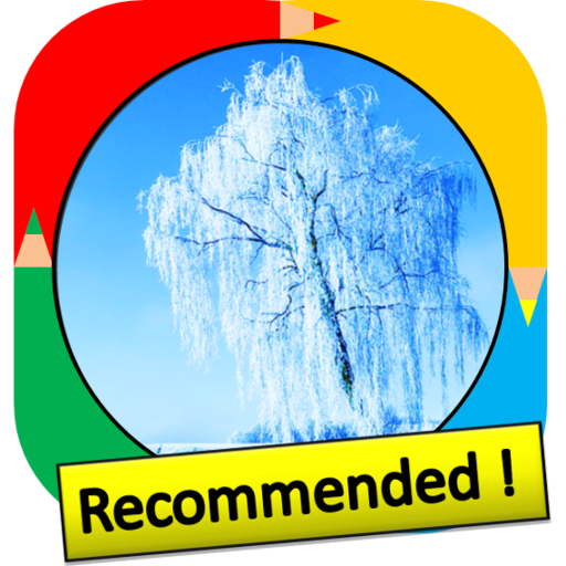 Color by Number - winter