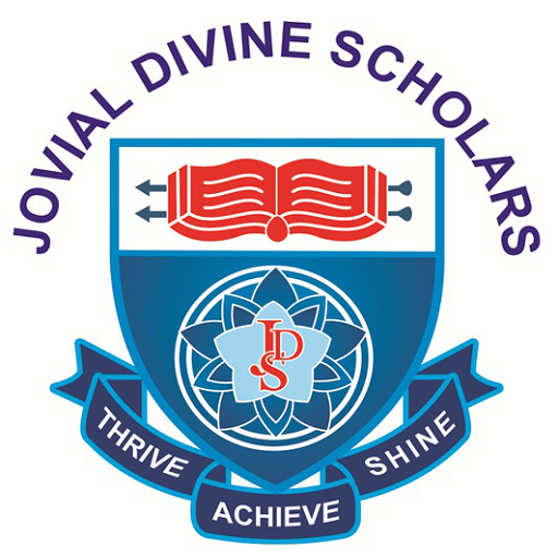 JDS International School logo
