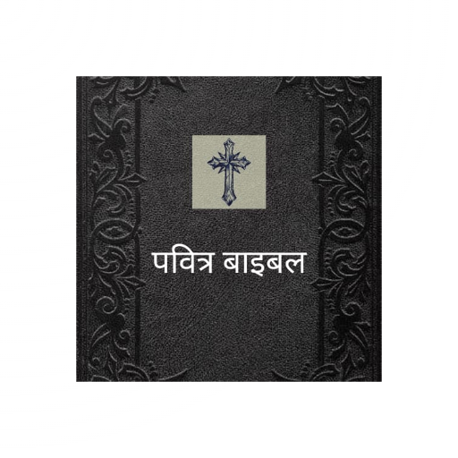 पवित्र बाइबल ( Hindi Bible ) 1.0 Icon