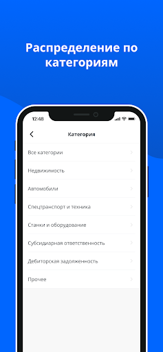 БАИДС Screen 2