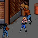 Cover Image of Download Double Dragon  APK