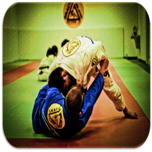 Judo techniques  Icon