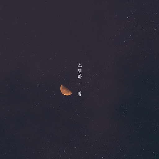 스텔라 · 밤 카카오톡 테마 logo