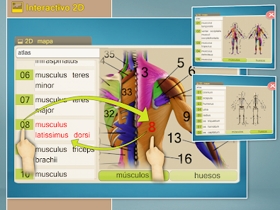 Captura de Pantalla 9 Easy Anatomy 3D(learn anatomy) android