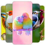 Cover Image of Descargar Bird Wallpaper HD  APK