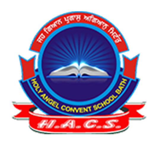 Holy Angel Convent School logo
