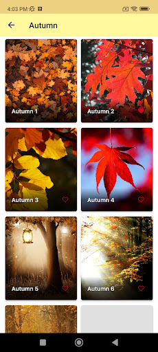 Wallife: Life Wallpaper HD Screen 3