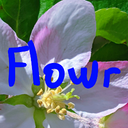「Flowr - Natural Wallpapers」圖示圖片