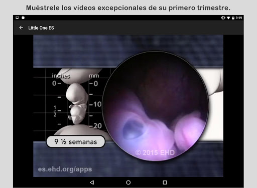 Guía de embarazo Little One Screen 2