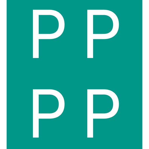 PayPayPayPay Logo