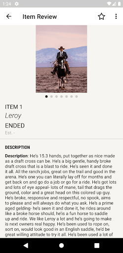Gold Buckle Horse Sale Screen 3