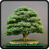 Japanese Bonsai Design icon