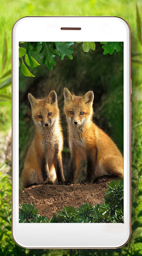 Animal Babies Jovial