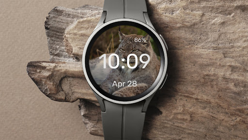 Unhappy Cat - Watch Face