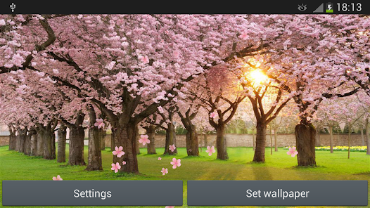 Sakura Live Wallpaper - Apps on Google Play