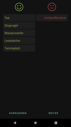 Begriffe raten Screen 3