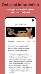 Cat Scanner: Breed Recognition