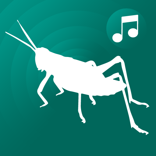 ringtones crickets for phone  Icon