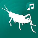 Cover Image of Скачать ringtones crickets for phone, cricket sounds free 1.19 APK