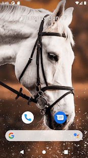 Horse Wallpaper HD Screenshot