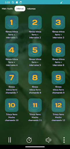 Trinca Ferro Fêmea Chamando Screen 3