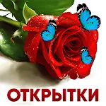 Cover Image of Скачать Открытки на все случаи жизни 1.5.9 APK