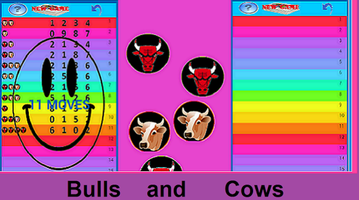 Bulls and Cows Guess the NUMBER