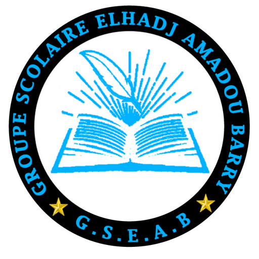 GS Elhadj Amadou Barry logo