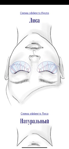 Lash Constructor Ресницыのおすすめ画像5