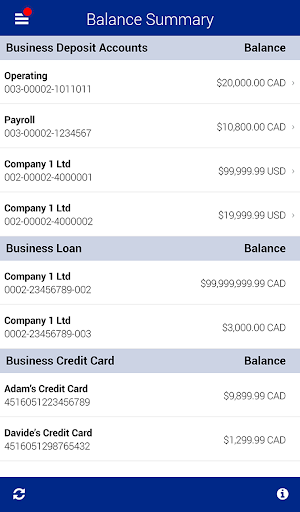 Screenshot of RBC Express Business Banking