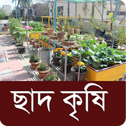 ছাদ কৃষি ~ ছাদ বাগান - Roof Gardening Bangla