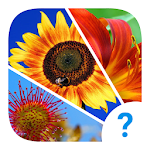 Cover Image of Download 4 clues: word search game 1.0.1 APK