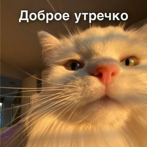 Стикеры спокойной ночи logo