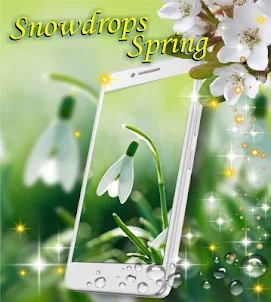 Snowdrops Spring wallpaper