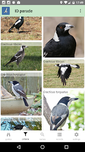Australian Birds Guide
