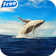 Whale HD Video Live Wallpaper