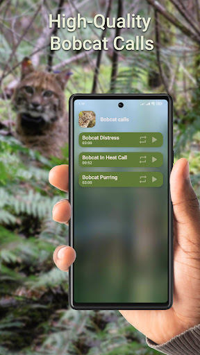 Android application Bobcat Hunting Calls screenshort