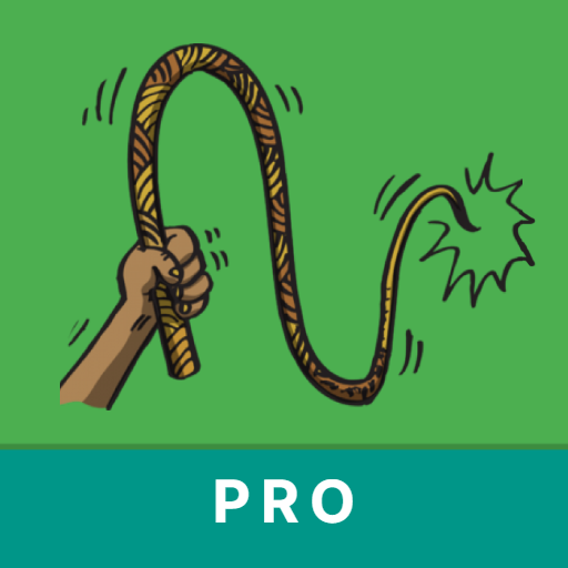 Sheldon Whip App logo
