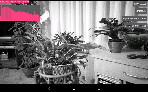 IpLab Histogram Live Demo