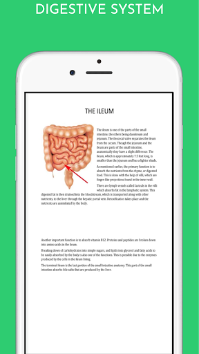 Biology form 1-form 4 diagrams